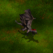 c53af3ea4b_4141345_o2