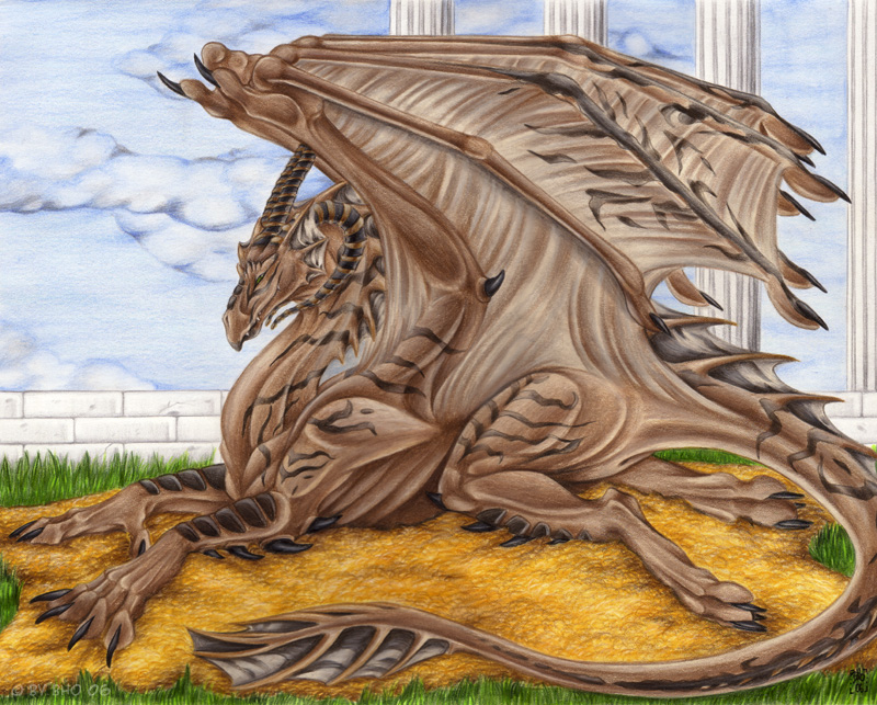 dragononthegoldenfleecemm9